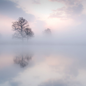 美女脱掉内裤让男人插射视频
